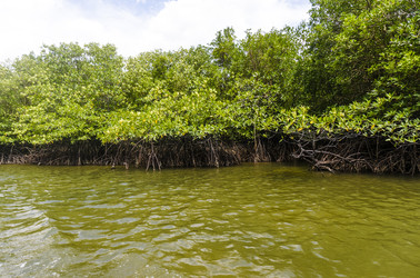 Similar image 22196450