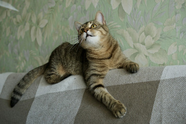 Similar image 22207711