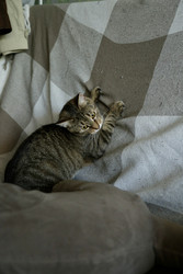 Similar image 22207894