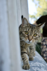 Similar image 22208073