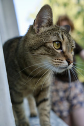 Similar image 22208076