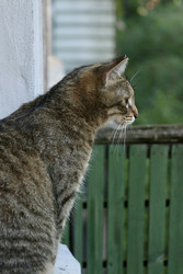 Similar image 22208077