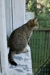 Similar image 22208080