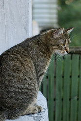 Similar image 22208081