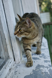 Similar image 22208085