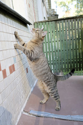 Similar image 22208087