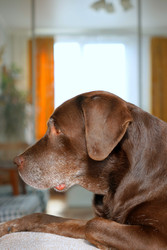 Similar image 22208096