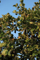 Similar image 22208098