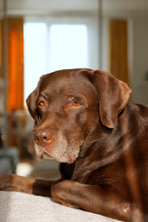 Similar image 22208099