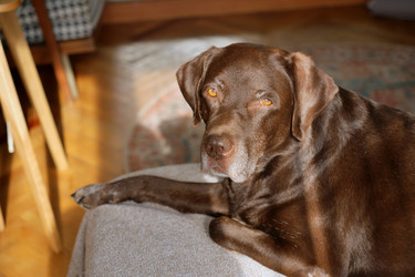 Similar image 22208100