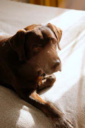 Similar image 22208103