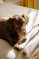 Similar image 22208104