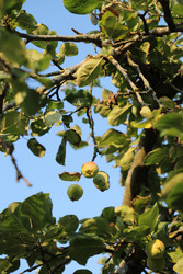 Similar image 22208106