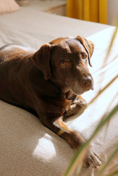 Similar image 22208107