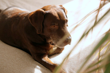 Similar image 22208108