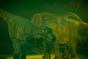 Similar image 22204018