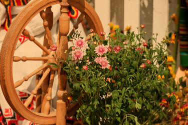 Similar image 22204022