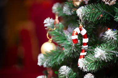 Similar image 22204025