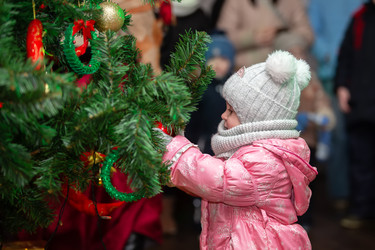 Similar image 22204039