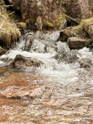 Similar image 22198049