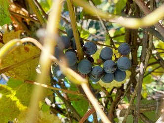 Similar image 22203089