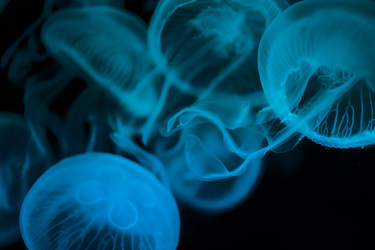 Similar image 22198489