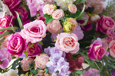 Similar image 22204112