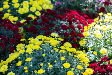 Similar image 22204118