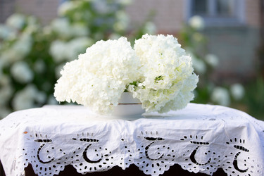 Similar image 22204127