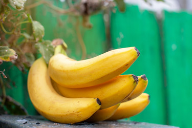 Similar image 22204131