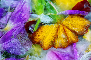 Similar image 22204134