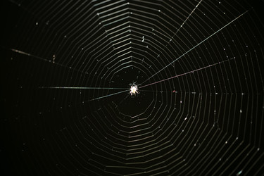 Similar image 22204053