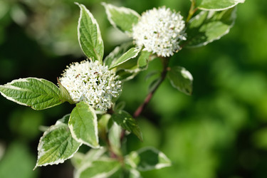 Similar image 22197027