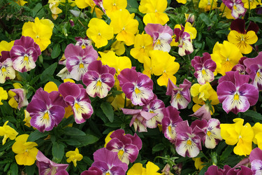 Similar image 22197029