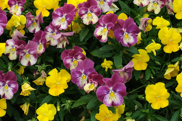 Similar image 22197030