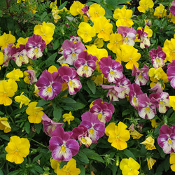 Similar image 22197032