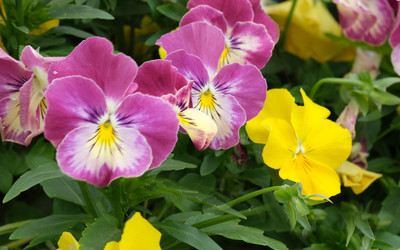 Similar image 22197034