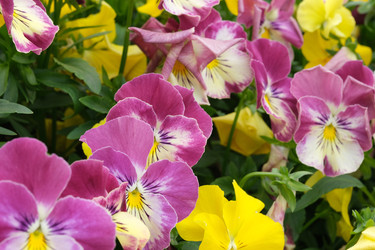 Similar image 22197036