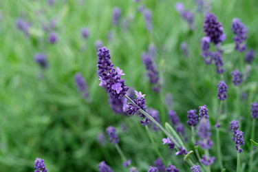 Similar image 22197042