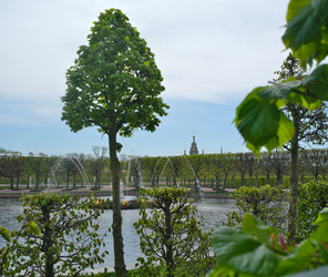 Similar image 22197043