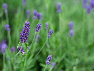 Similar image 22197044