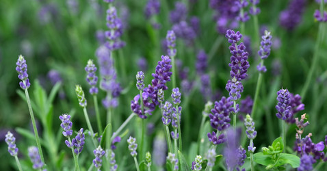 Similar image 22197046