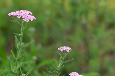 Similar image 22197050