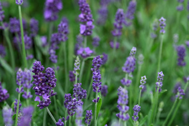 Similar image 22197052