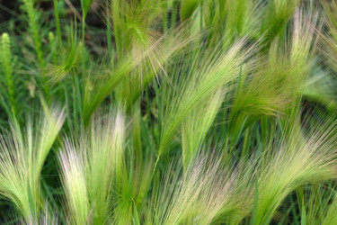 Similar image 22197054