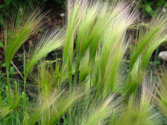 Similar image 22197056