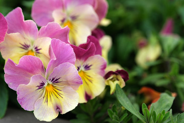 Similar image 22197058