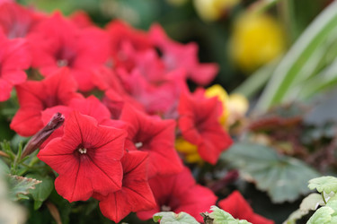 Similar image 22197060