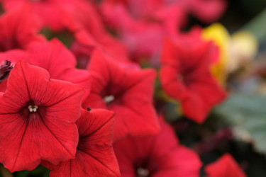 Similar image 22197061