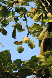 Similar image 22207895